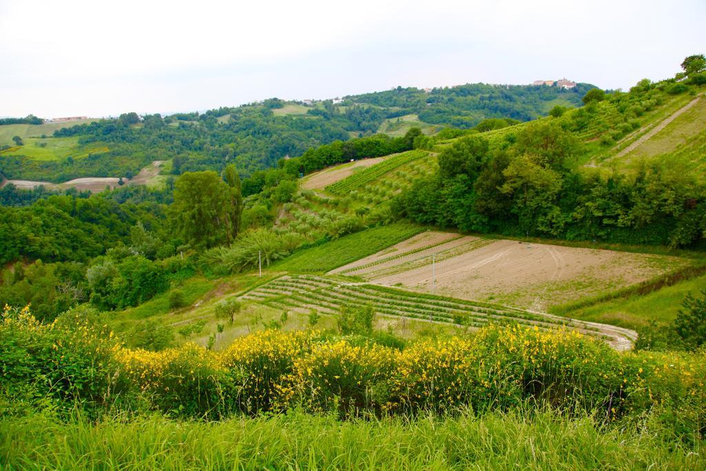 Agriturismo Biologico Villa Rosa Monte Guiduccio Zewnętrze zdjęcie