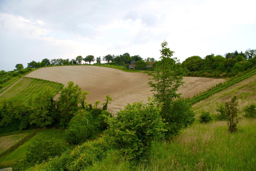 Agriturismo Biologico Villa Rosa Monte Guiduccio Zewnętrze zdjęcie