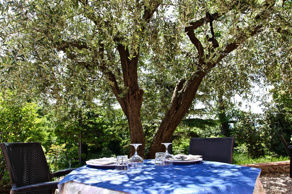 Agriturismo Biologico Villa Rosa Monte Guiduccio Zewnętrze zdjęcie