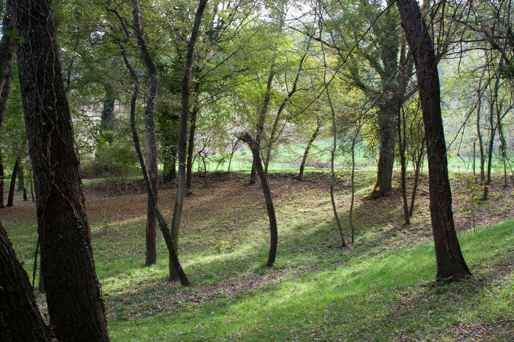 Agriturismo Biologico Villa Rosa Monte Guiduccio Zewnętrze zdjęcie