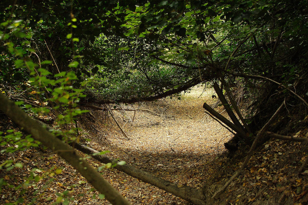 Agriturismo Biologico Villa Rosa Monte Guiduccio Zewnętrze zdjęcie