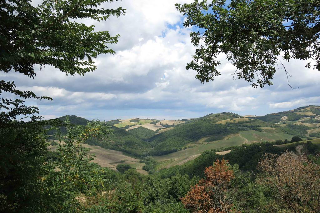 Agriturismo Biologico Villa Rosa Monte Guiduccio Zewnętrze zdjęcie